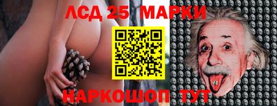 дурь Славгород