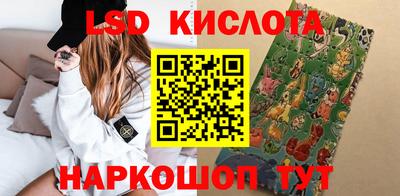 индика Сланцы