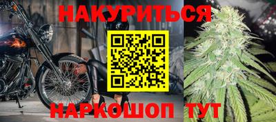 индика Сланцы