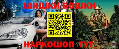 индика Сланцы