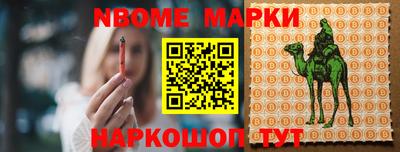 индика Сланцы