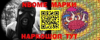 индика Сланцы