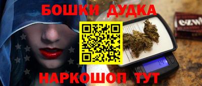 индика Сланцы