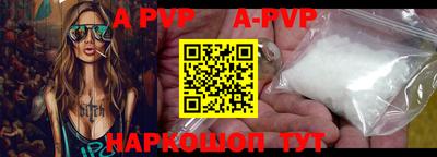индика Сланцы