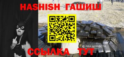 индика Сланцы